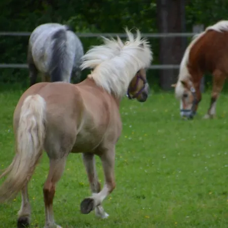 Vakantieboerderij Muehlthal