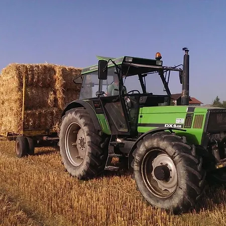 Vakantieboerderij Muehlthal Edling
